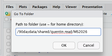 RStudio terminal screenshot