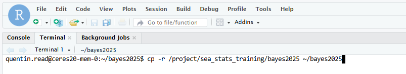 RStudio terminal screenshot
